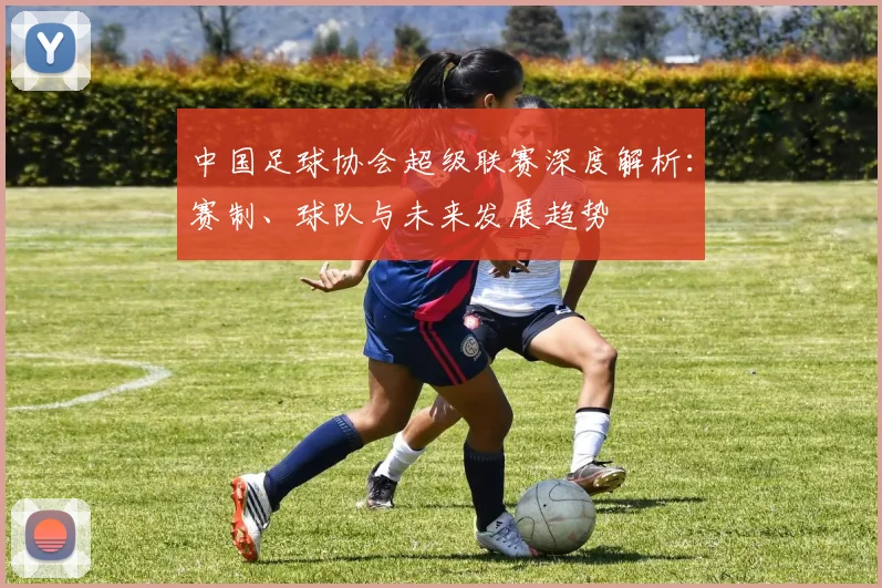 中国足球协会超级联赛深度解析：赛制、球队与未来发展趋势